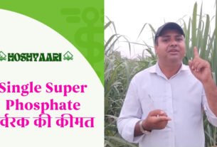 Single Super Phosphate उर्वरक की कीमत