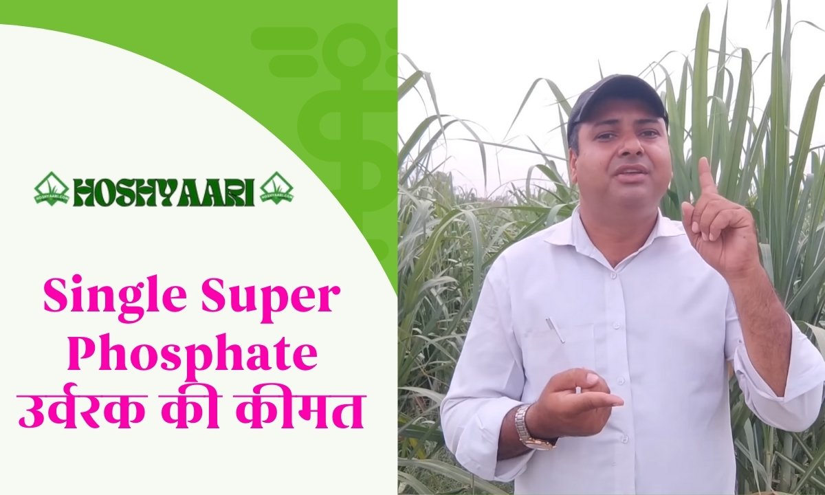 Single Super Phosphate उर्वरक की कीमत